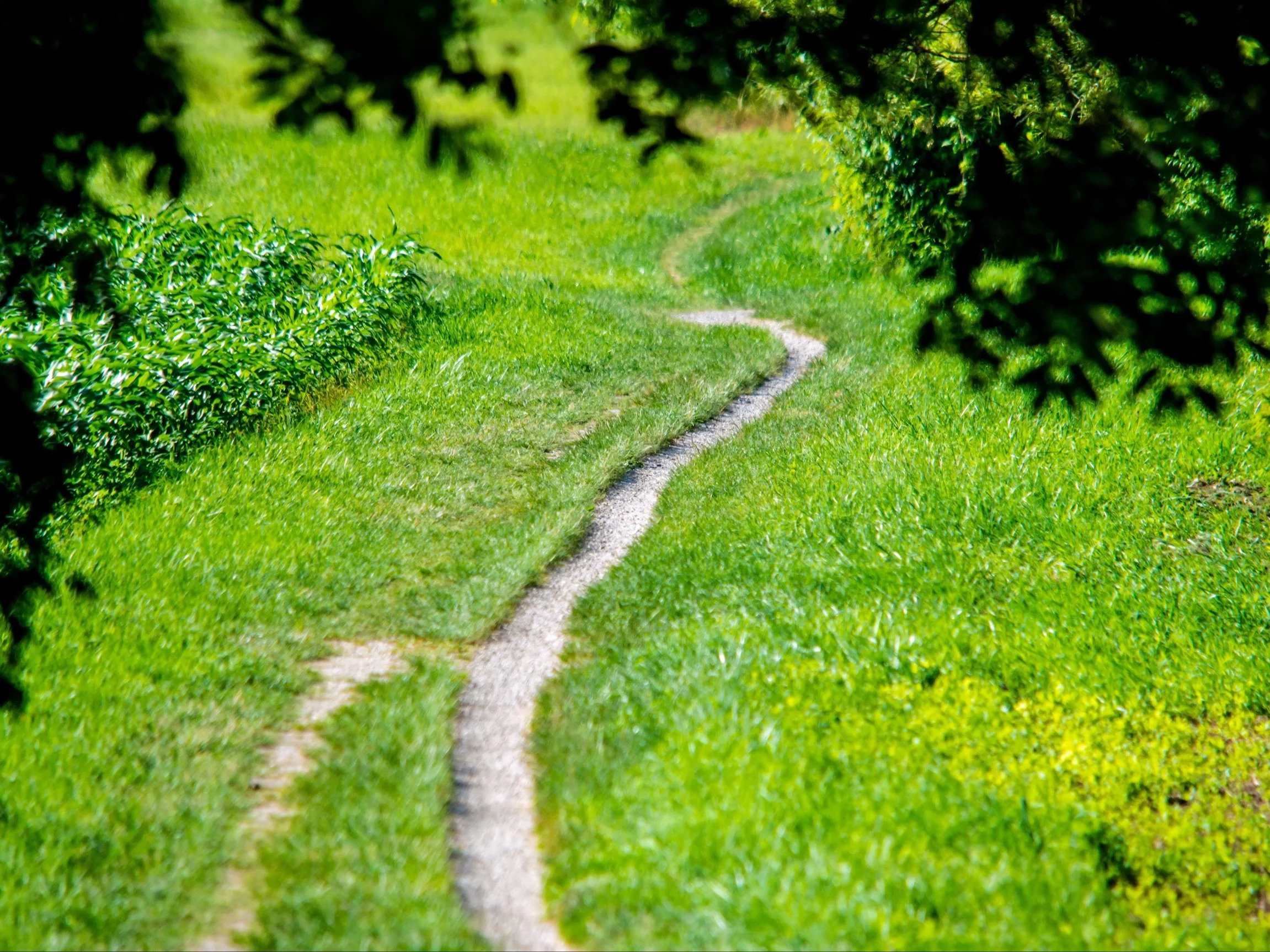 Niepokojący odór w Bawarii. Nikt nie zna jego źródła