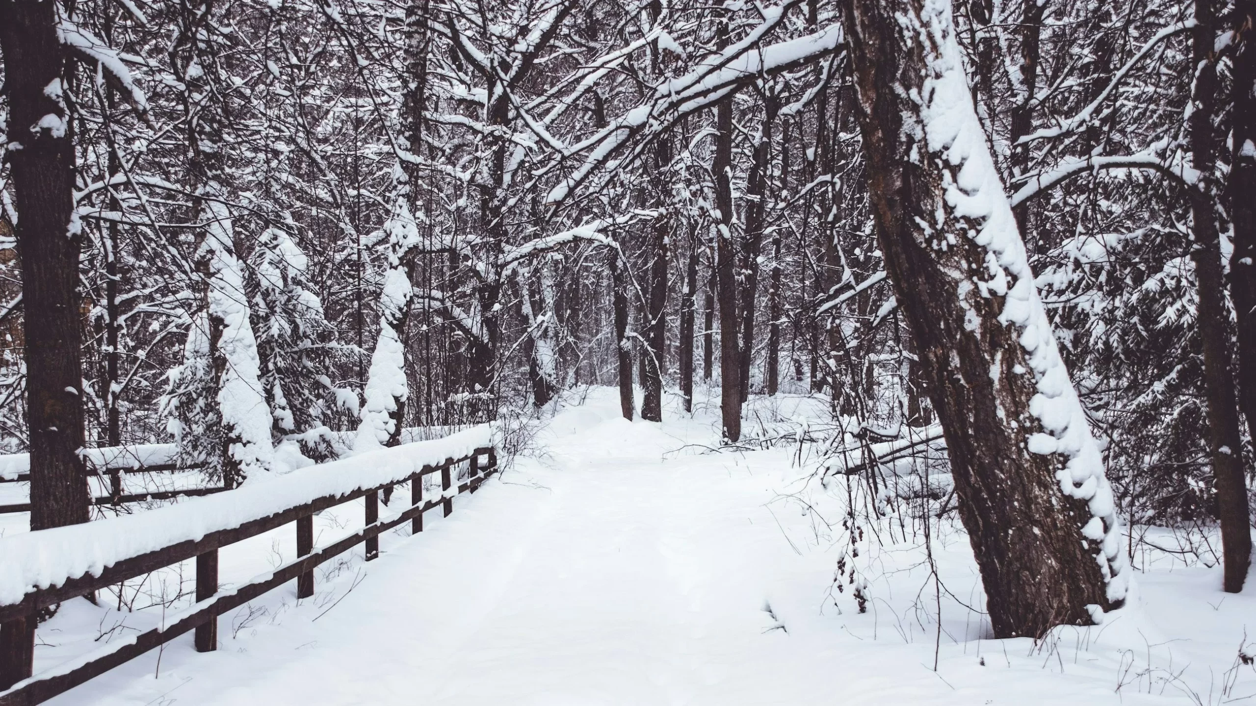 Prognoza na Święta Bożego Narodzenia i Nowy Rok. Meteorolodzy odsłaniają karty Prognoza na Święta Bożego Narodzenia i Nowy Rok. Meteorolodzy odsłaniają karty