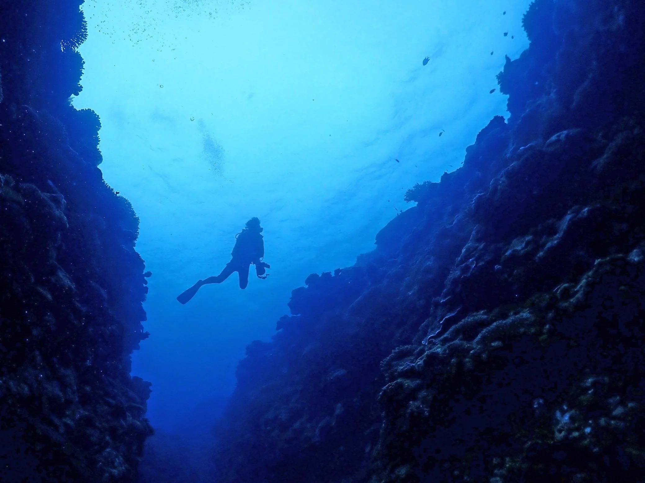 Przypadkowe odkrycie nurków. Trop prowadzi do Rosji Przypadkowe odkrycie nurków. Trop prowadzi do Rosji