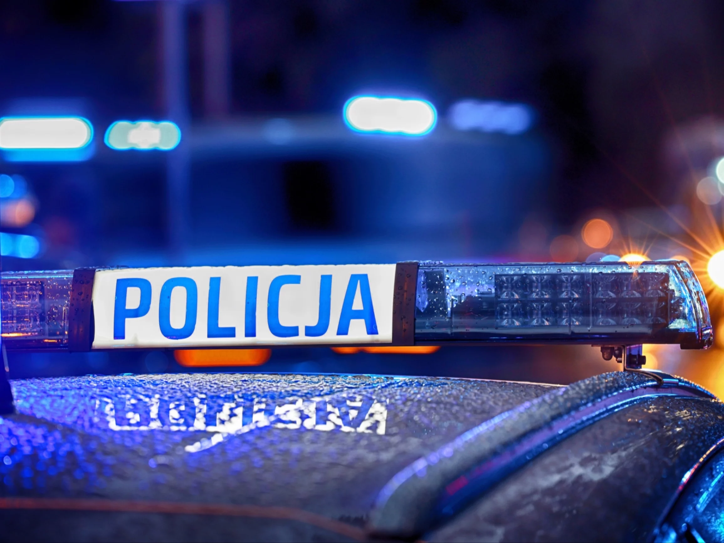 Wstrząsający wypadek na S17. „Z samochodu wypadł pies”