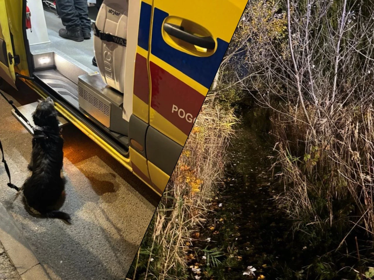 Wyszedł z psem i przepadł. Wierny pies bohaterem akcji ratunkowej