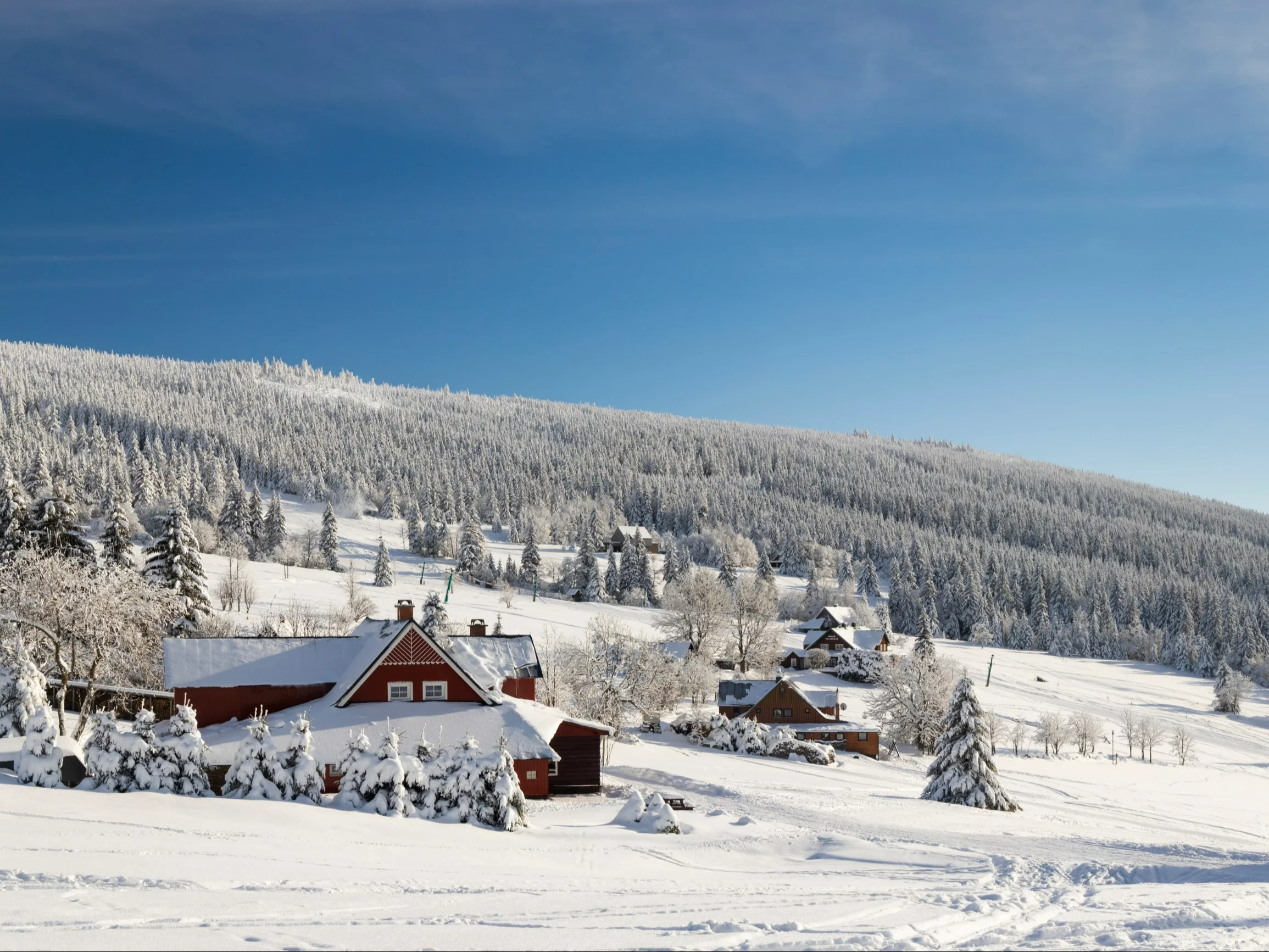 Zaskakujący atak zimy. Część Polski pod pierwszym śniegiem Zaskakujący atak zimy. Część Polski pod pierwszym śniegiem