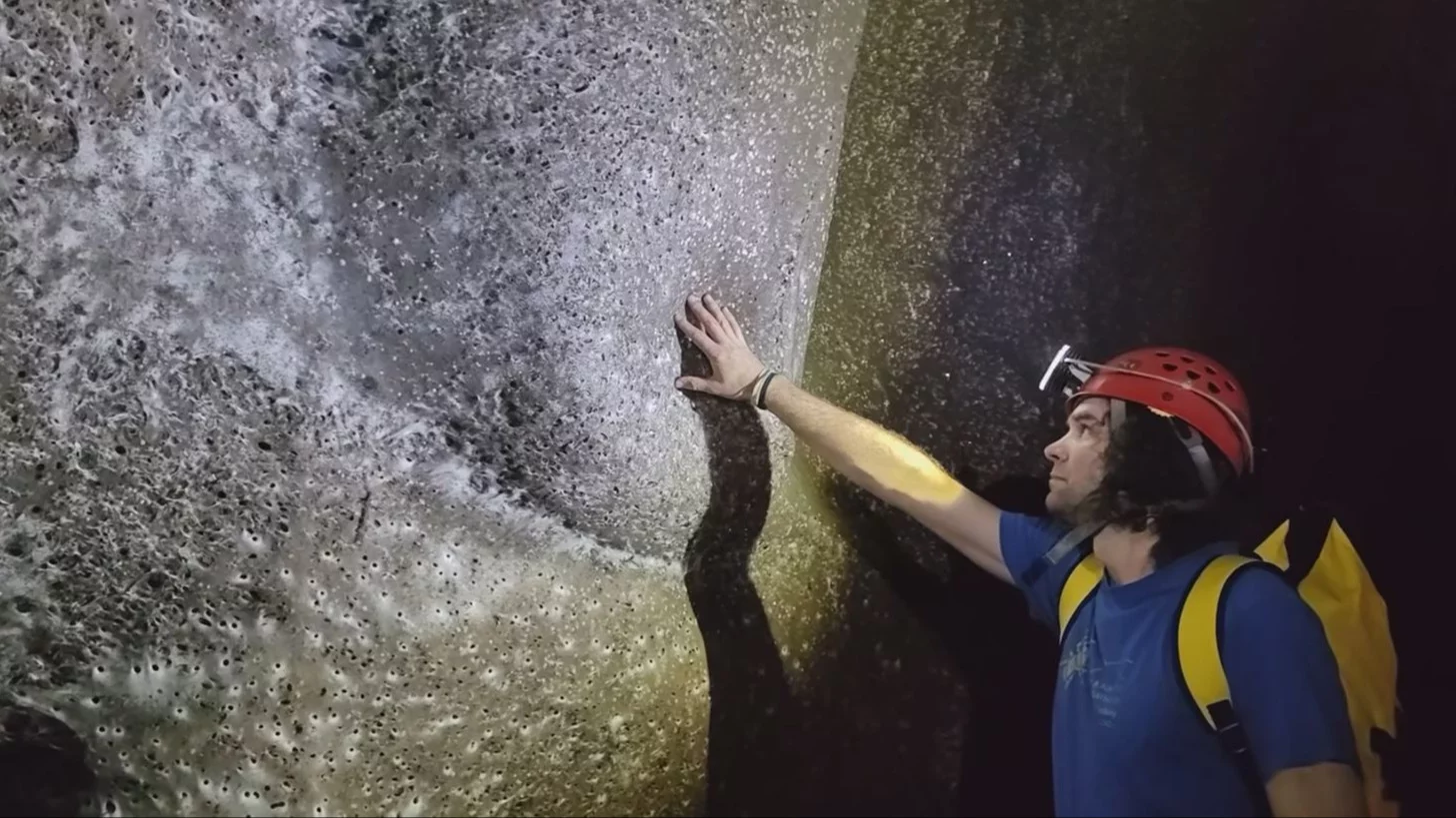 Żyją w całkowitej ciemności, 111 tys. pająków utkało największą pajęczynę świata. Nowe fakty