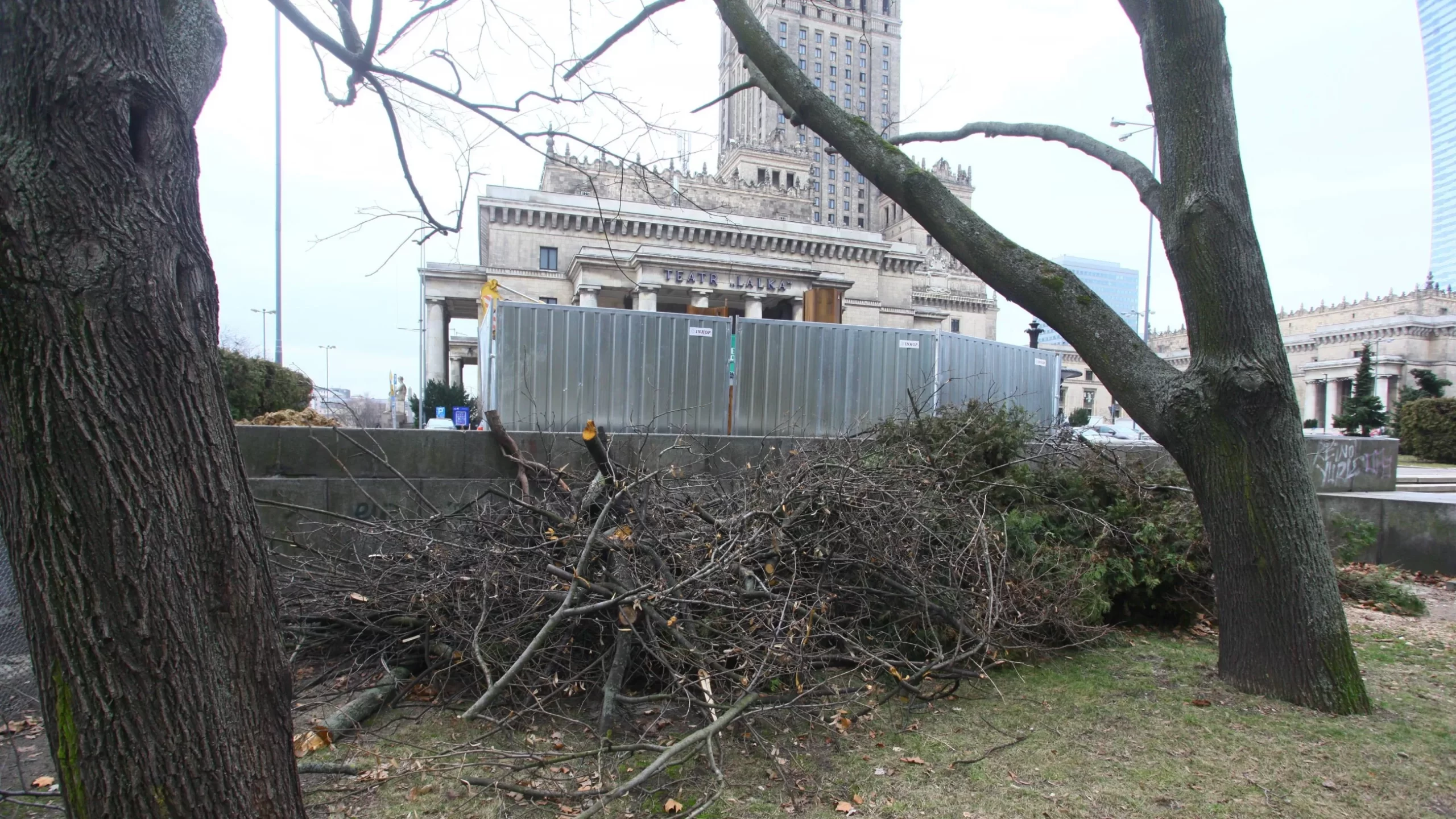 Bójki i alkohol w centrum Warszawy. Tak młodzi Ukraińcy „przejęli” znany park