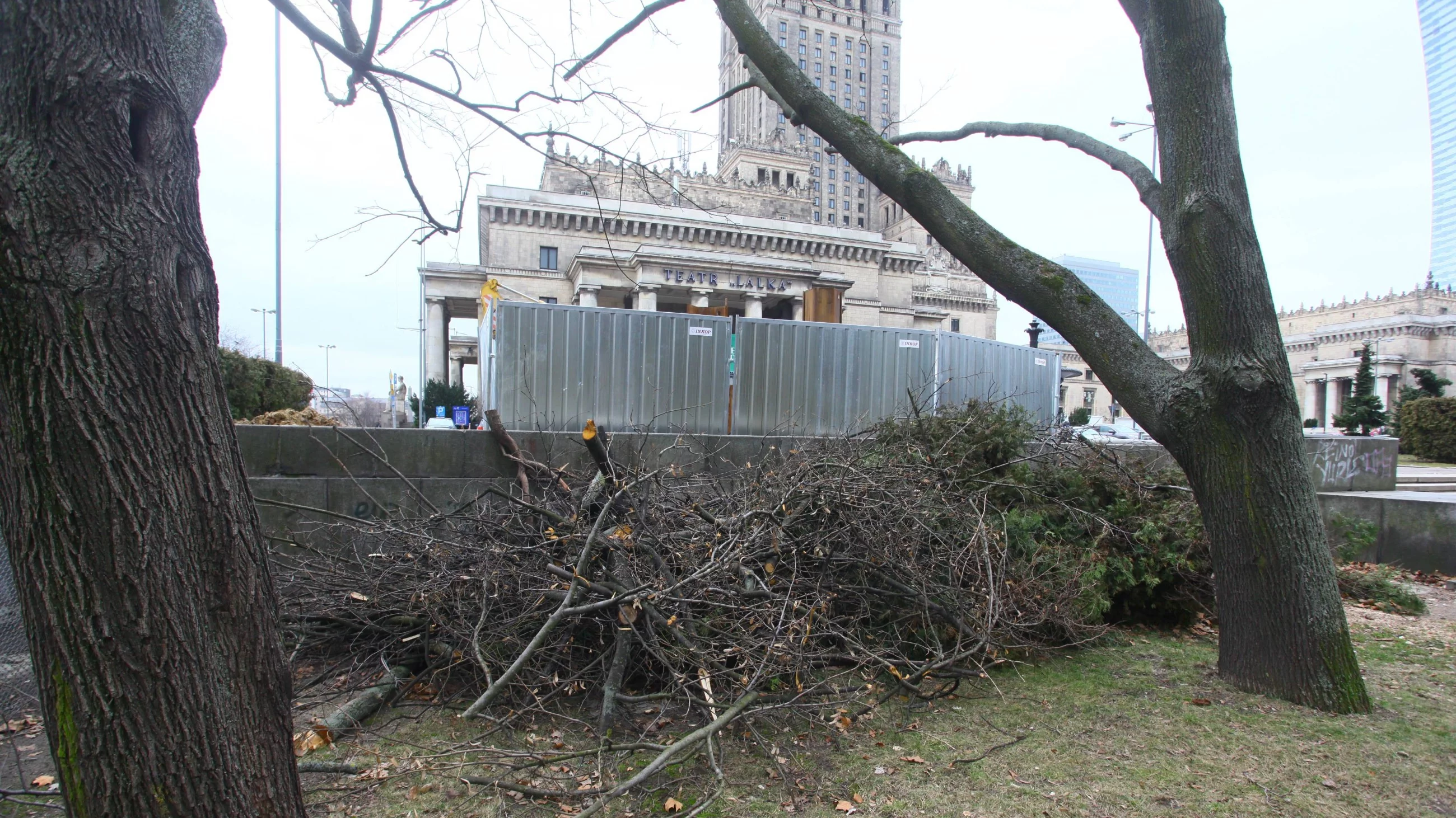 B&oacute;jki i&nbsp;alkohol w&nbsp;centrum Warszawy. Tak młodzi Ukraińcy &bdquo;przejęli&rdquo; znany park