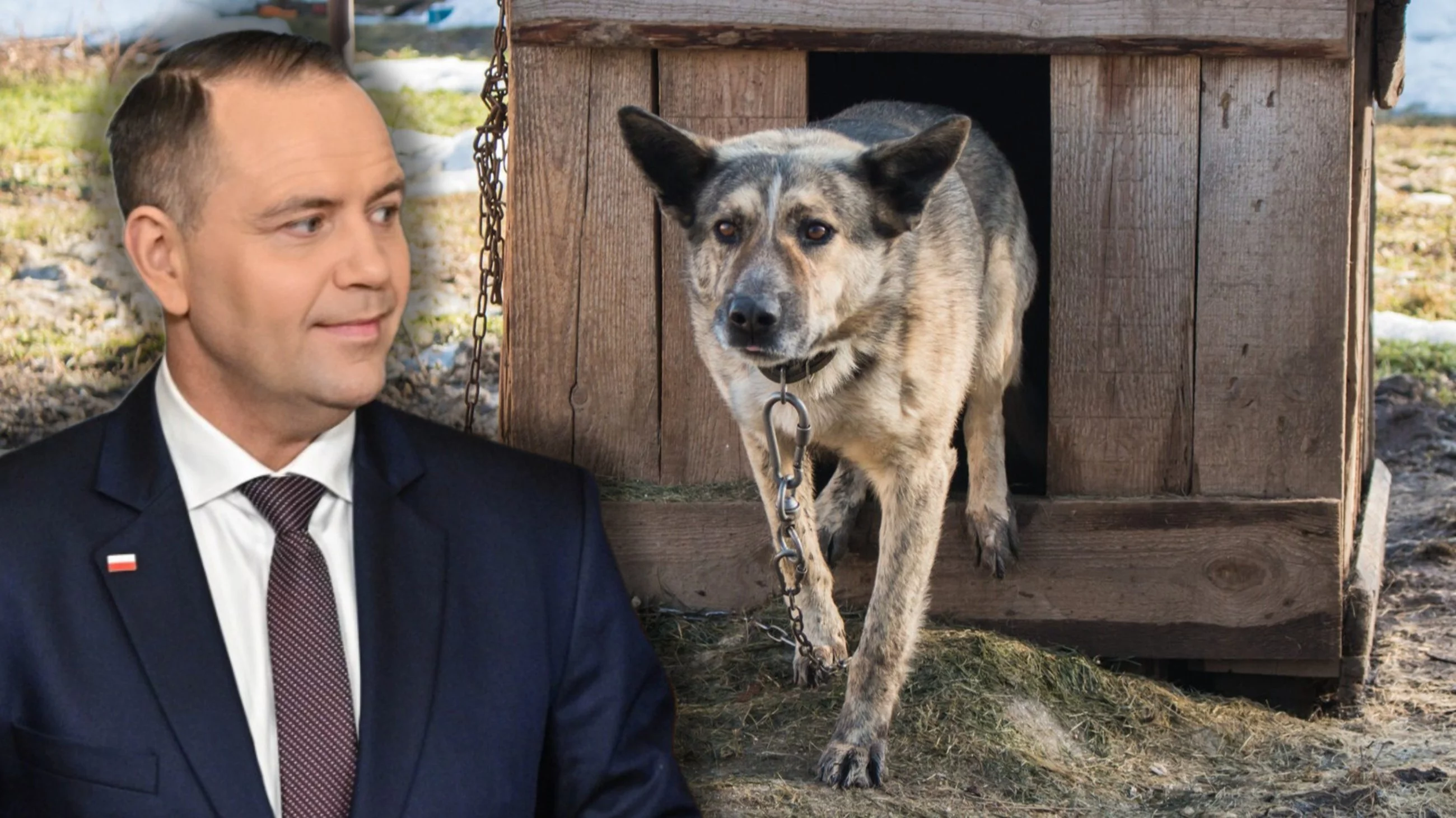 Nawrocki zdecydował w sprawie ochrony zwierząt. Jedną ustawę podpisał, drugą zawetował