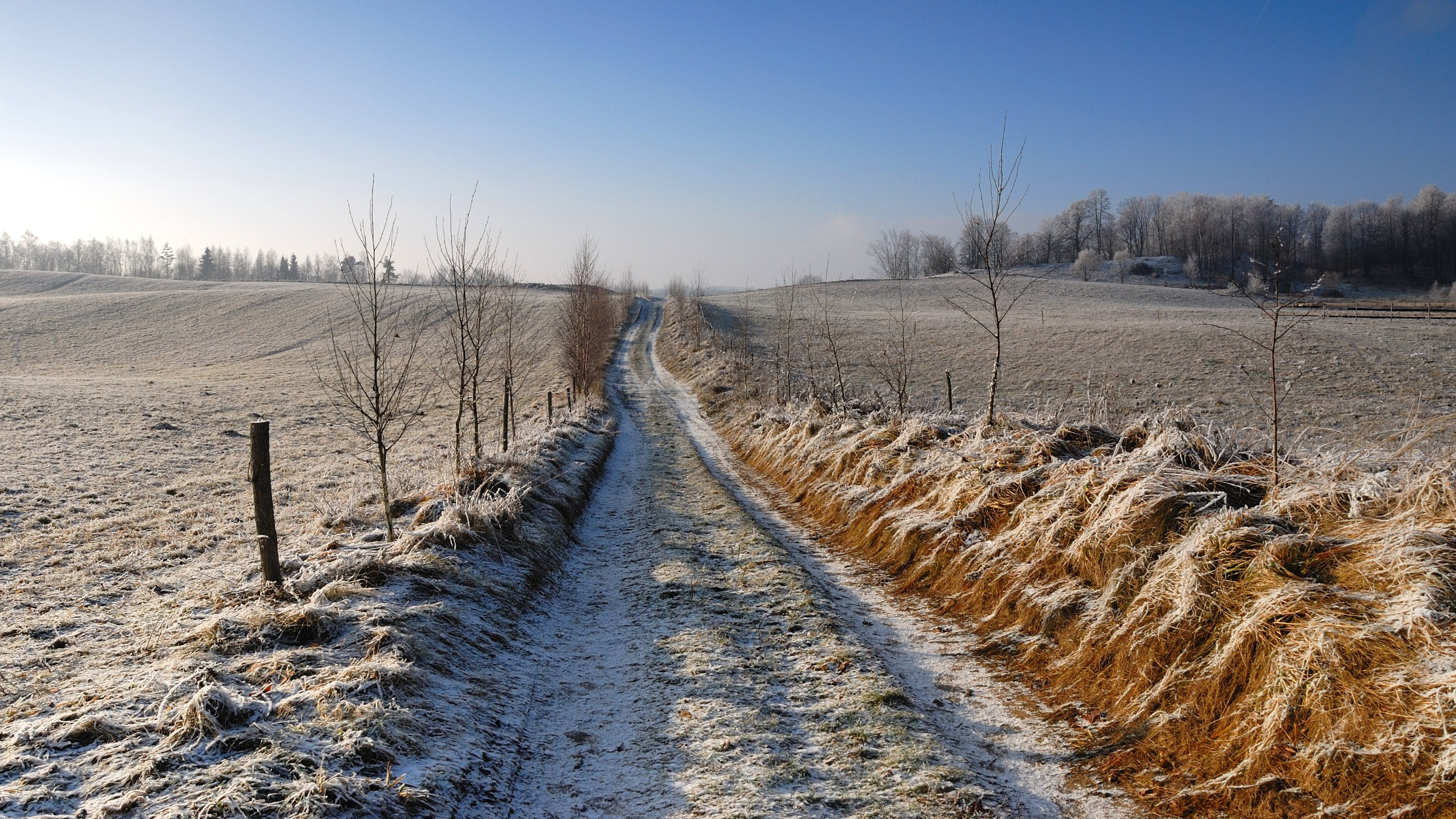 Po raz pierwszy od dłuższego czasu pojawi się śnieg. Spadnie w konkretnym rejonie Polski Po raz pierwszy od dłuższego czasu pojawi się śnieg. Spadnie w konkretnym rejonie Polski