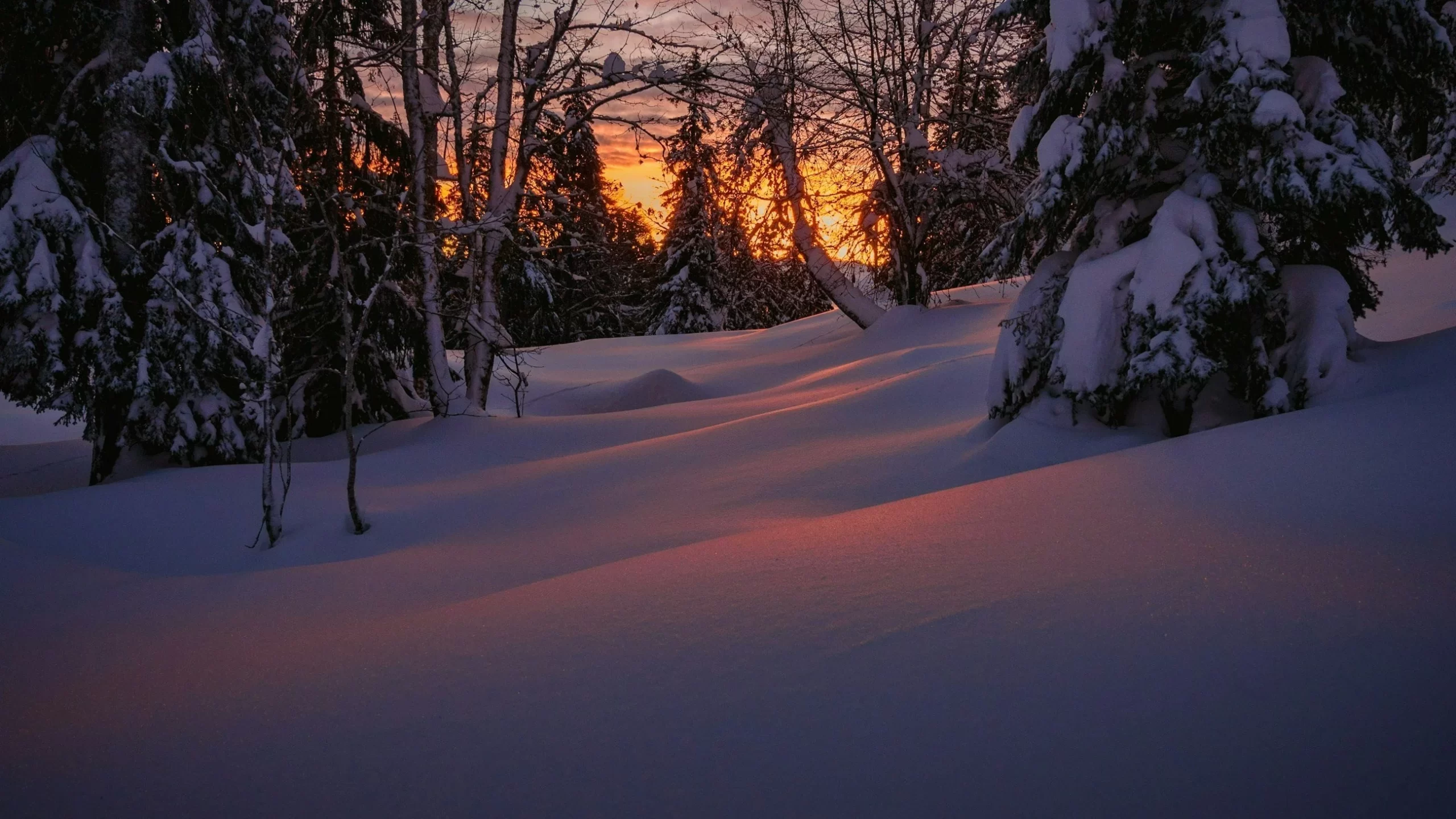 Pogoda na Święta Bożego Narodzenia. Wiemy, kiedy nastąpi zwrot Pogoda na Święta Bożego Narodzenia. Wiemy, kiedy nastąpi zwrot