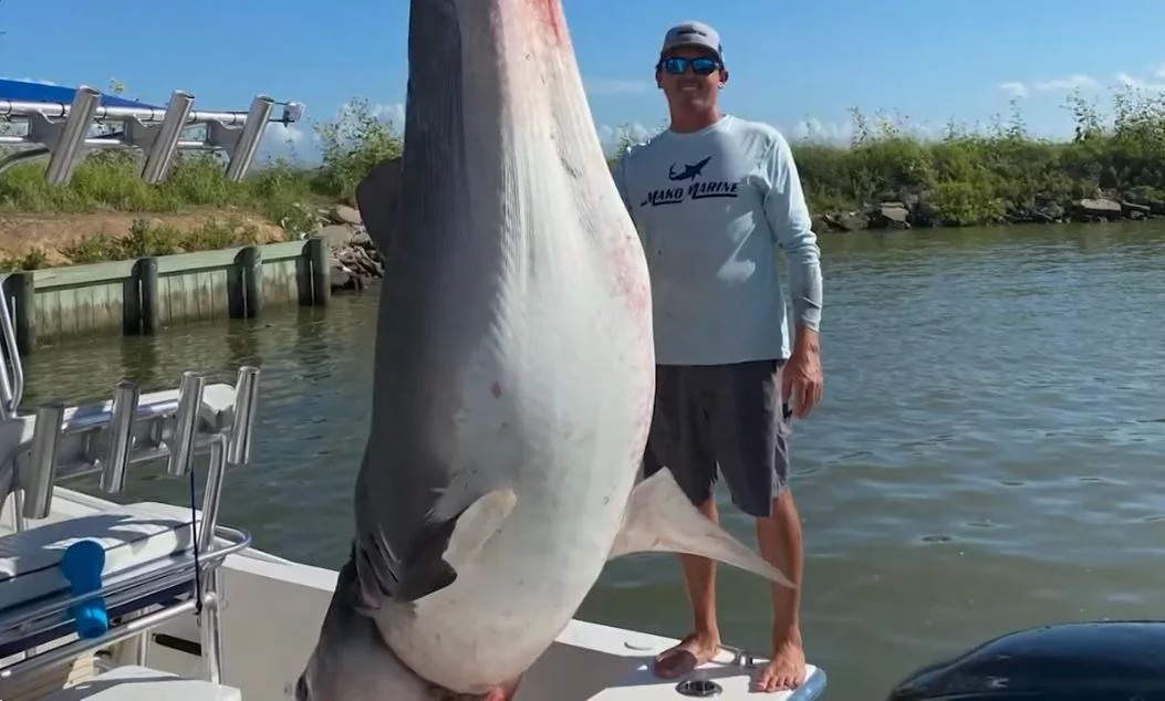 W tych wodach złowiono wiele ogromnych ryb. Oto największe rekordy W tych wodach złowiono wiele ogromnych ryb. Oto największe rekordy