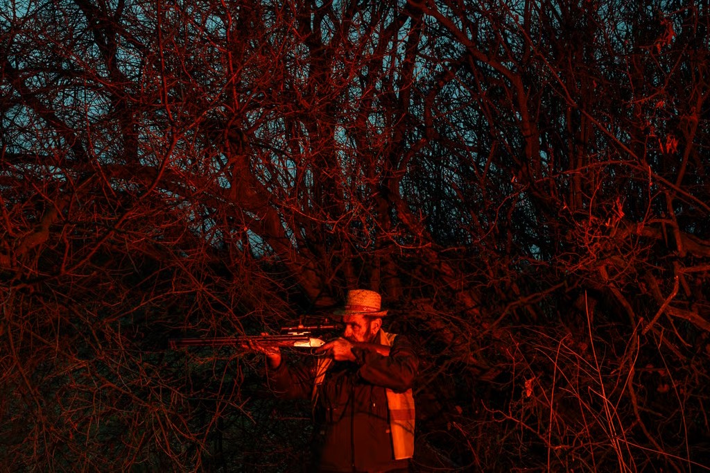 "To koniec". Tak Chiny po cichu rozszarpują Europę. Zaczęły od Serbii. "Czuję, jak drży mój dom" [FOTOREPORTAŻ]