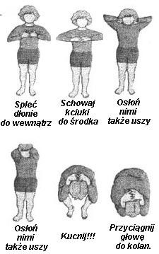 8-latka w ciężkim stanie po ataku owczarków. "Zasłonił własnym ciałem"