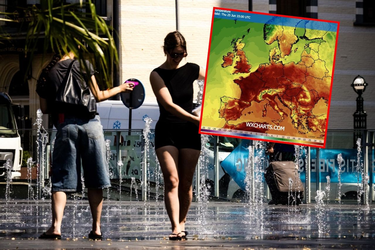 Fala upałów w Niemczech. Wprowadzono szereg zakazów
