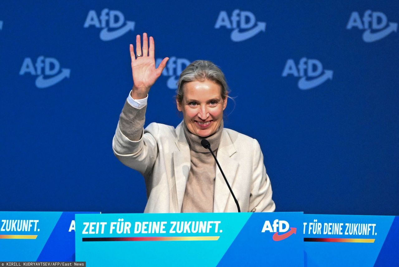 Niemcy: współlider Lewicy przeprasza za słowa o CDU