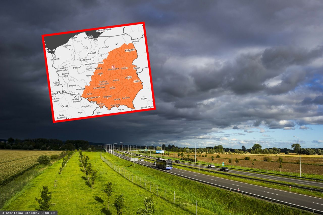 Truskawkowy wandalizm w Luboniu. 10 tys. zł za wskazanie sprawcy