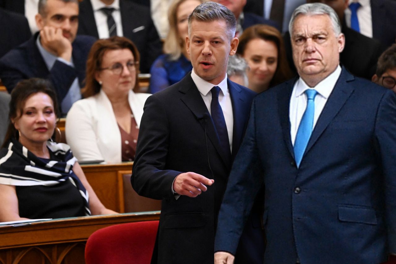 Zełenski traktuje Polskę jak Węgry Orbána. Daniel Szeligowski w rozmowie z WP: to bardzo poważny błąd