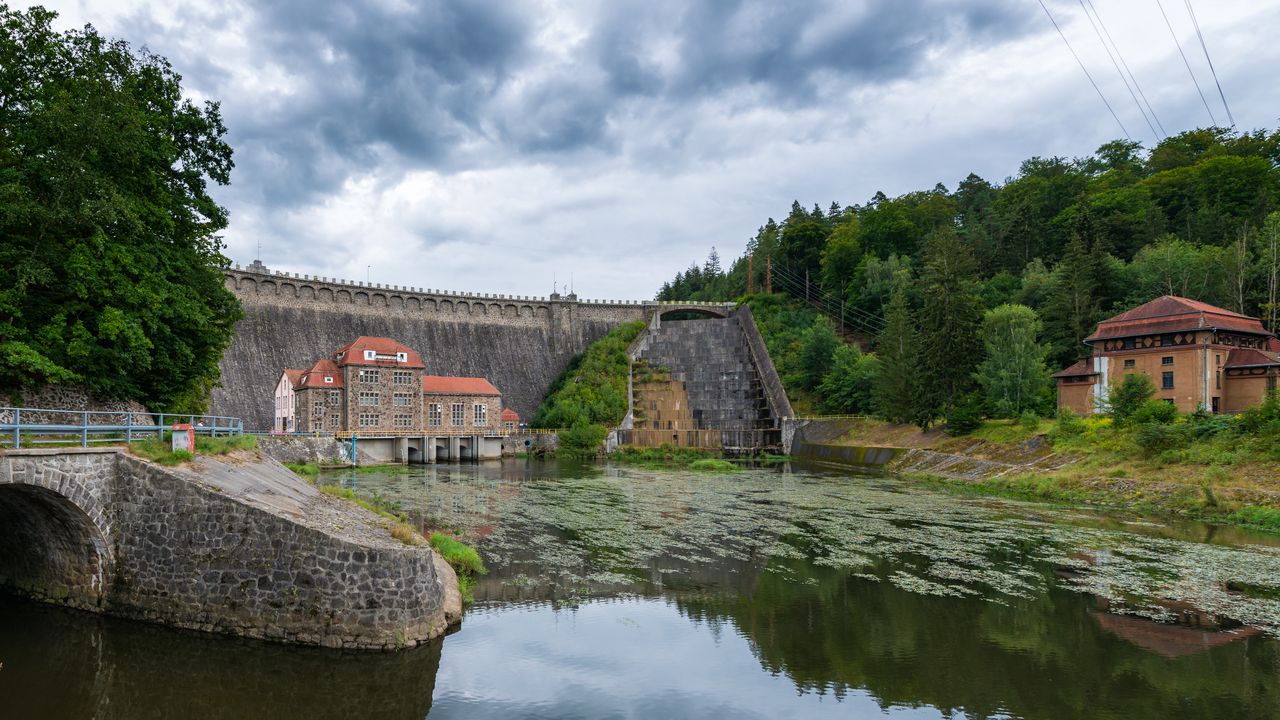 15 ton śniętych ryb. Jest ruch prokuratury
