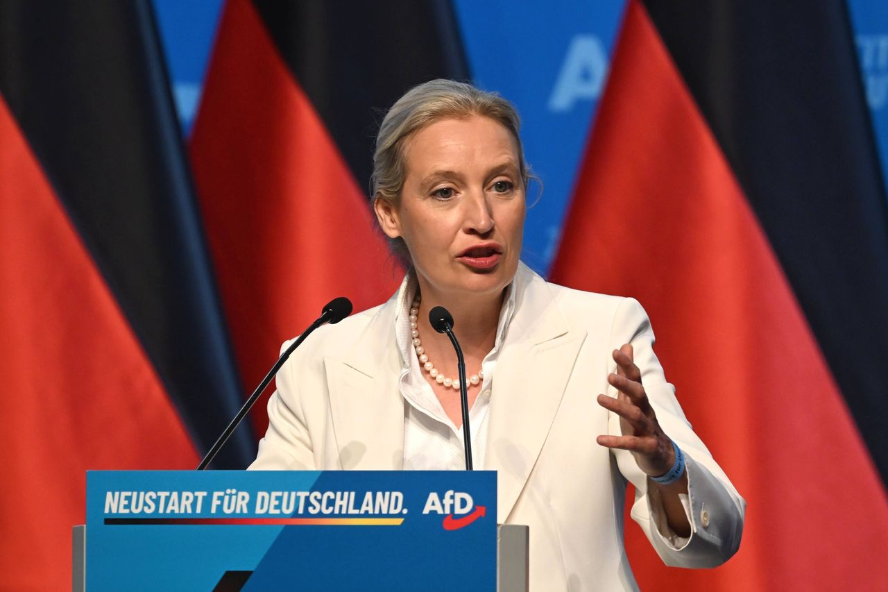 AfD zaprezentowała program na 100 dni. Uderzenie w osoby LGBT+