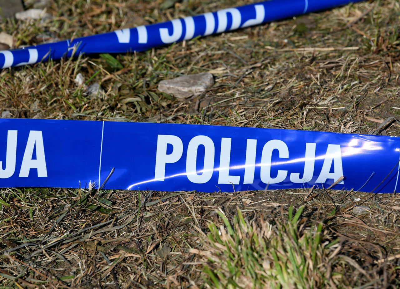 Makabryczne odkrycie we Francji. Ciała pięciu niemowląt w kartonowych pudełkach
