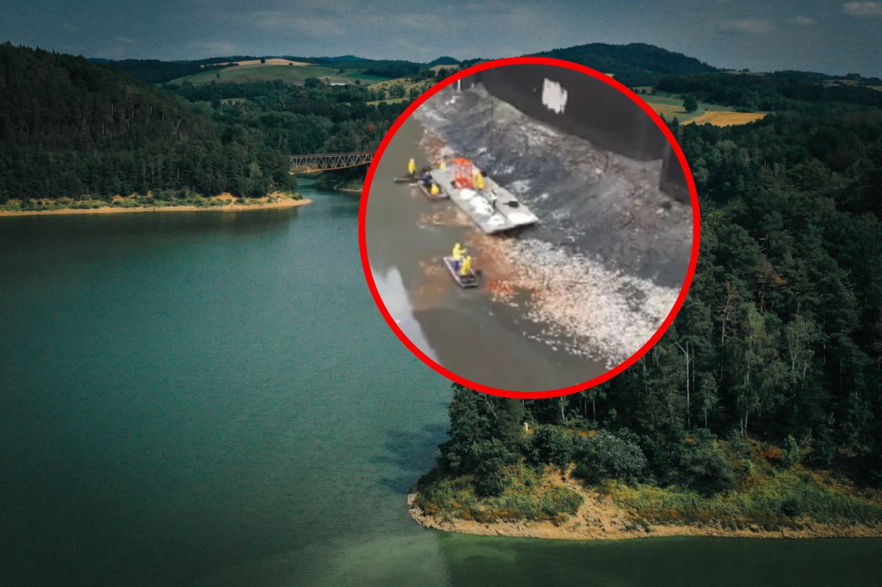 Śnięte ryby w jeszcze jednym miejscu. Służby apelują