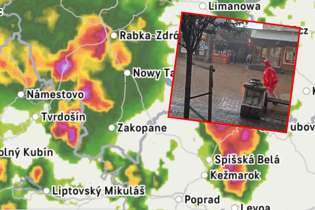 Pożar traw przy torach. Utrudnienia na linii Siedlce-Warszawa
