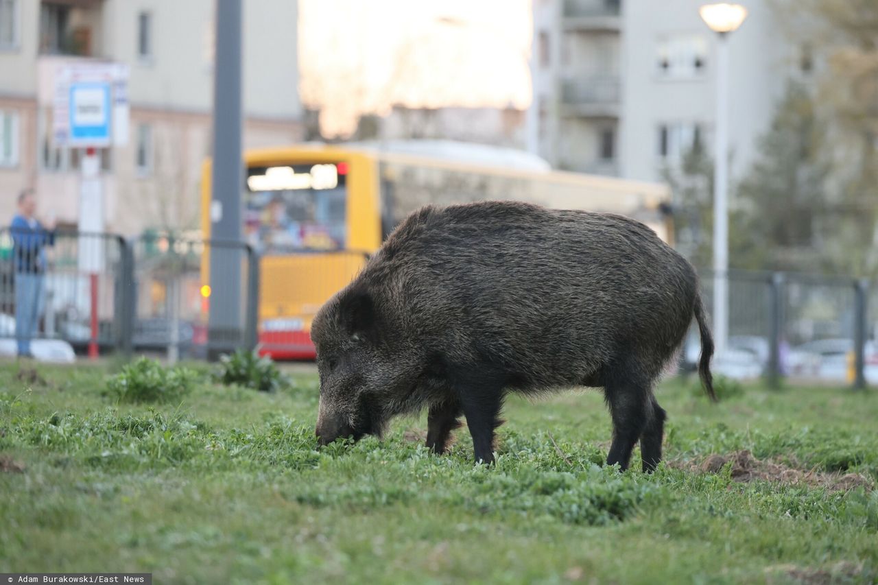 Szpital odsyła chorych z kwitkiem? Placówka uspokaja