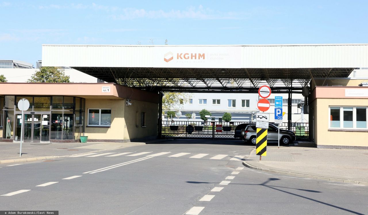 Wjechał na rondo i zniszczył infrastrukturę. Miał blisko trzy promile