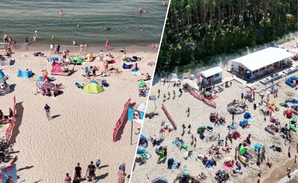 Dramat na drodze z Zakopanego. Niedźwiedź potrącony przez samochód