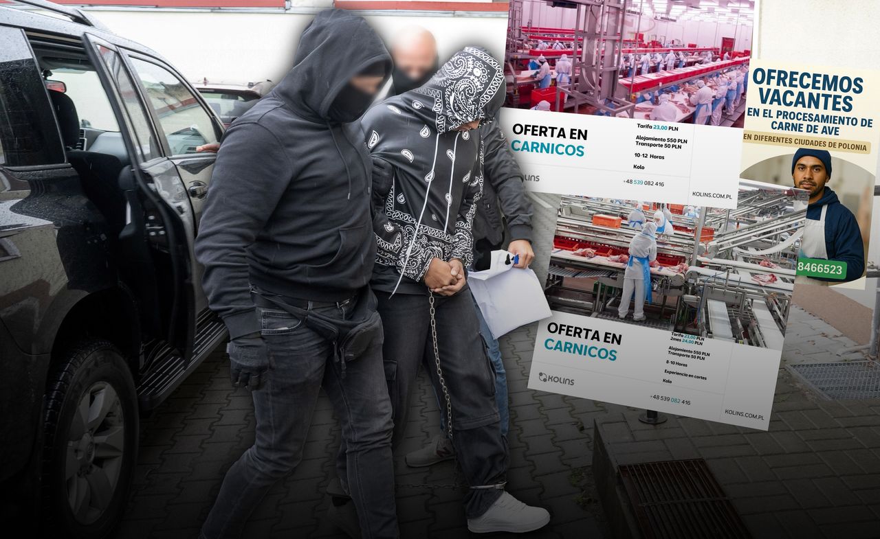 Ofiary oszustów z TikToka. "Polska to raj" - tak influencerzy nabijają w butelkę Kolumbijczyków