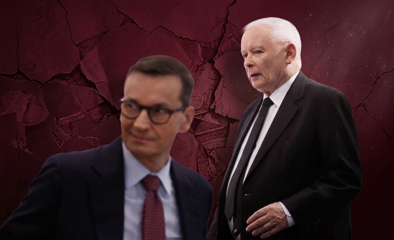 "Rafał, przeloguj". Horała skomentował wpis Kaczyńskiego