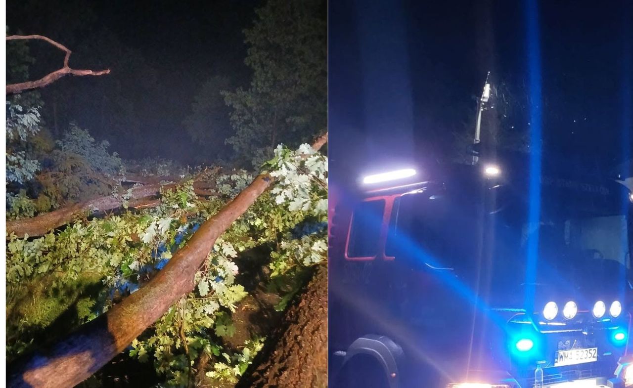 Wpadli z amunicją. Dwoje pasażerów zatrzymanych na lotnisku w Balicach