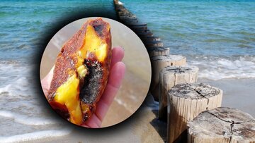 Bałtyk podarował im&nbsp;prawdziwy skarb. Nie&nbsp;mogli uwierzyć własnym oczom