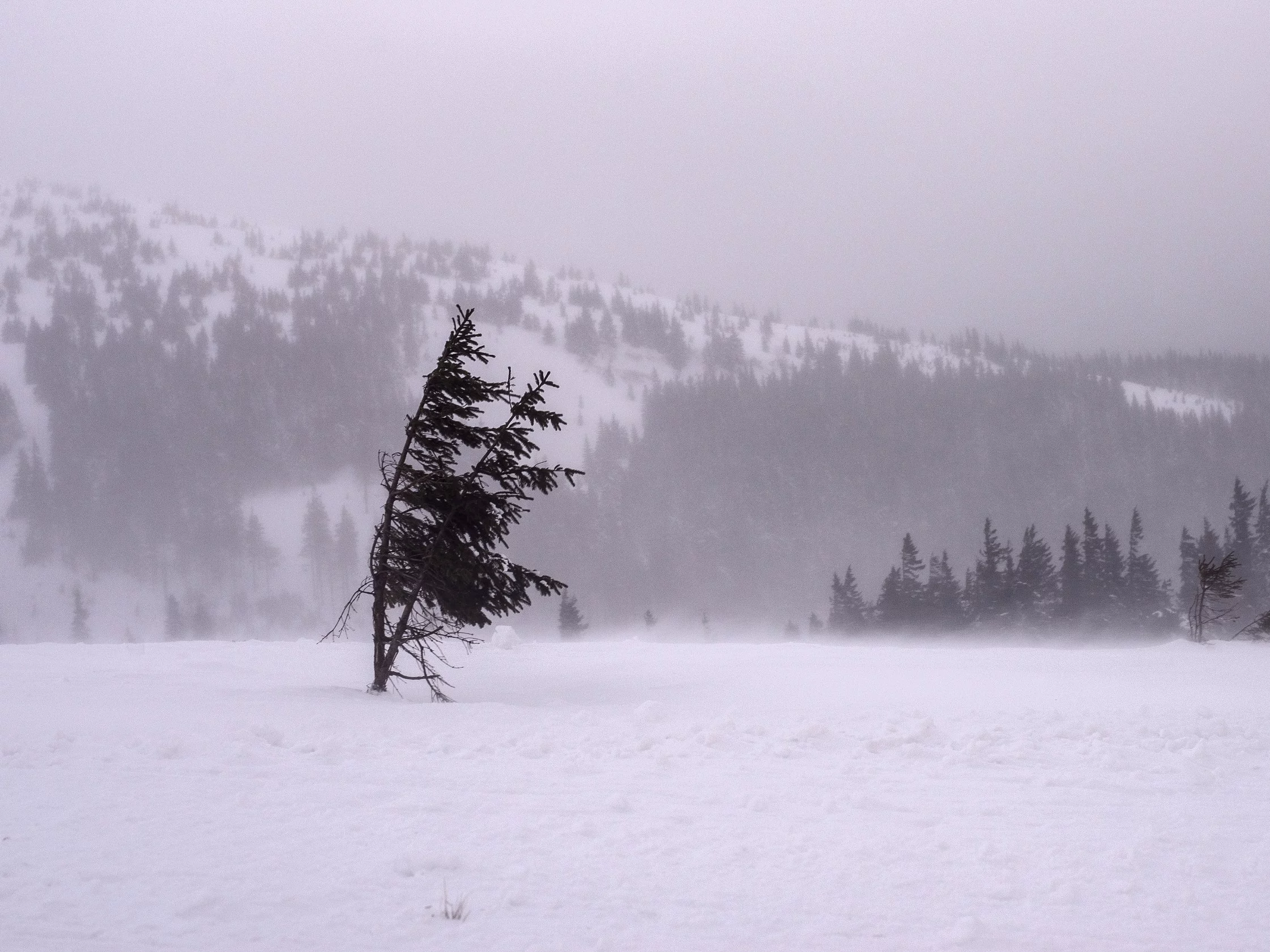 IMGW wydaje alerty. Intensywne opady śniegu i&nbsp;temperatury do&nbsp;-19&deg;C. Gdzie będzie najgorzej?