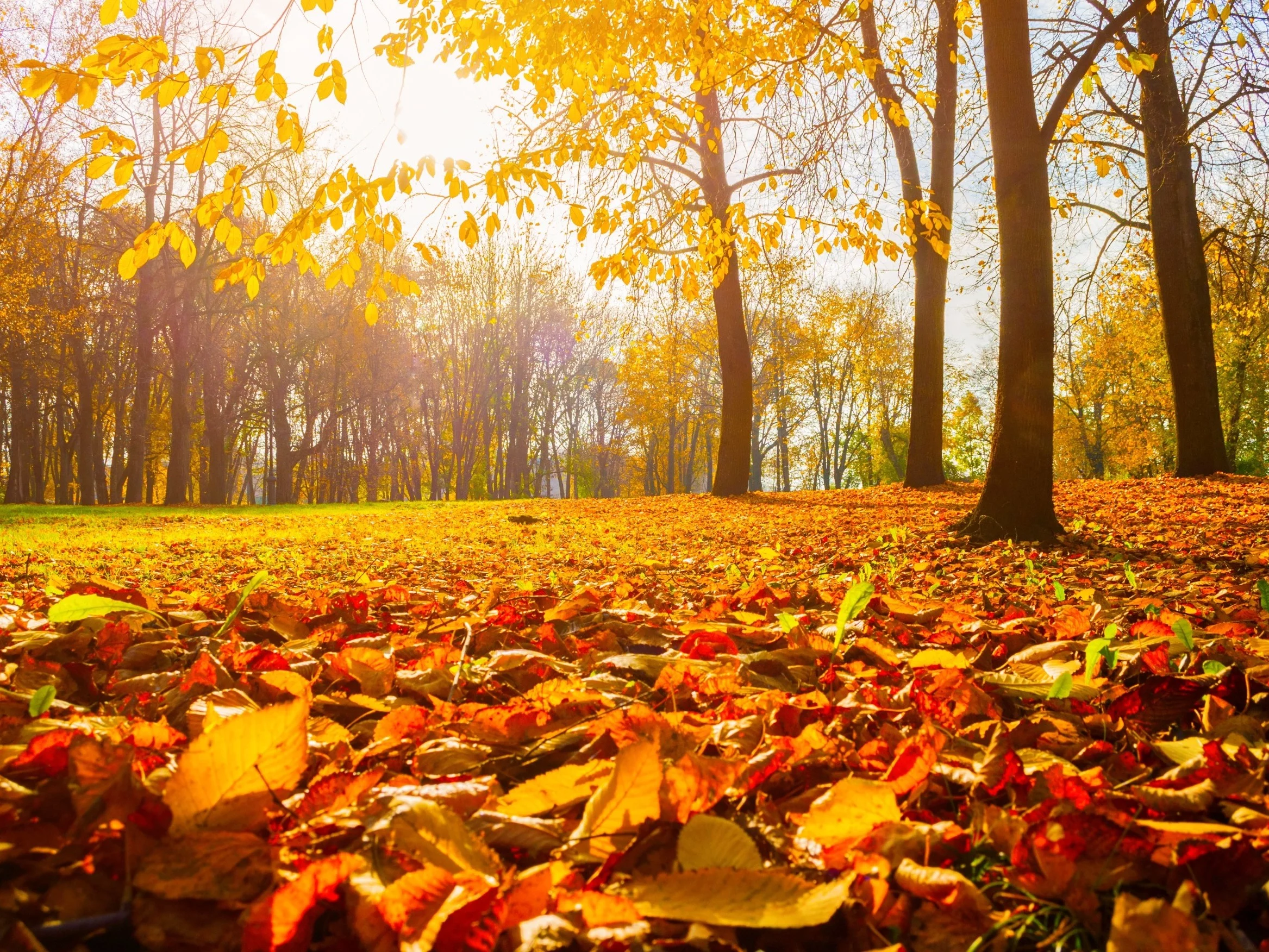 Polska w objęciach potężnego antycyklonu. Pogoda zaskoczy wszystkich
