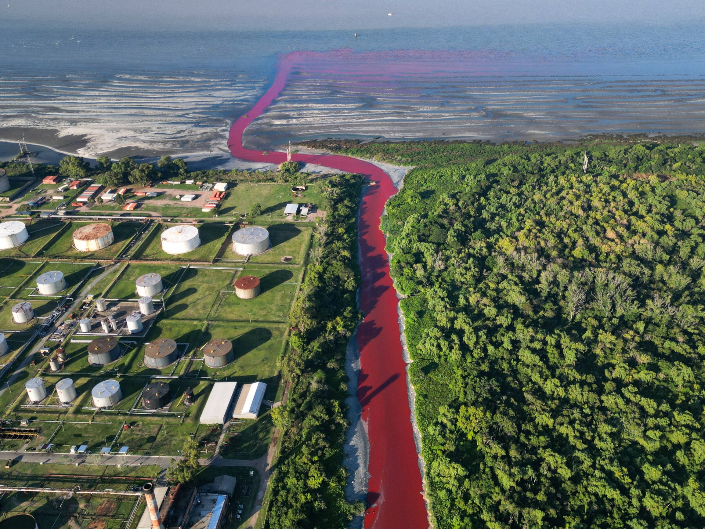 Rzeka zmieniła się w&nbsp;&bdquo;krwawy strumień&rdquo;. Mieszkańcy alarmują