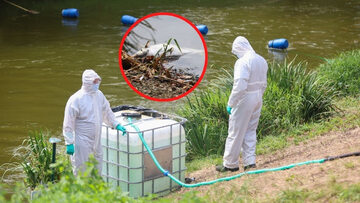 Śnięte ryby w&nbsp;jeziorze Dzierżno Duże. &bdquo;Metody naukowc&oacute;w i&nbsp;&raquo;incydentalne gaszenie pożaru&laquo;&rdquo;