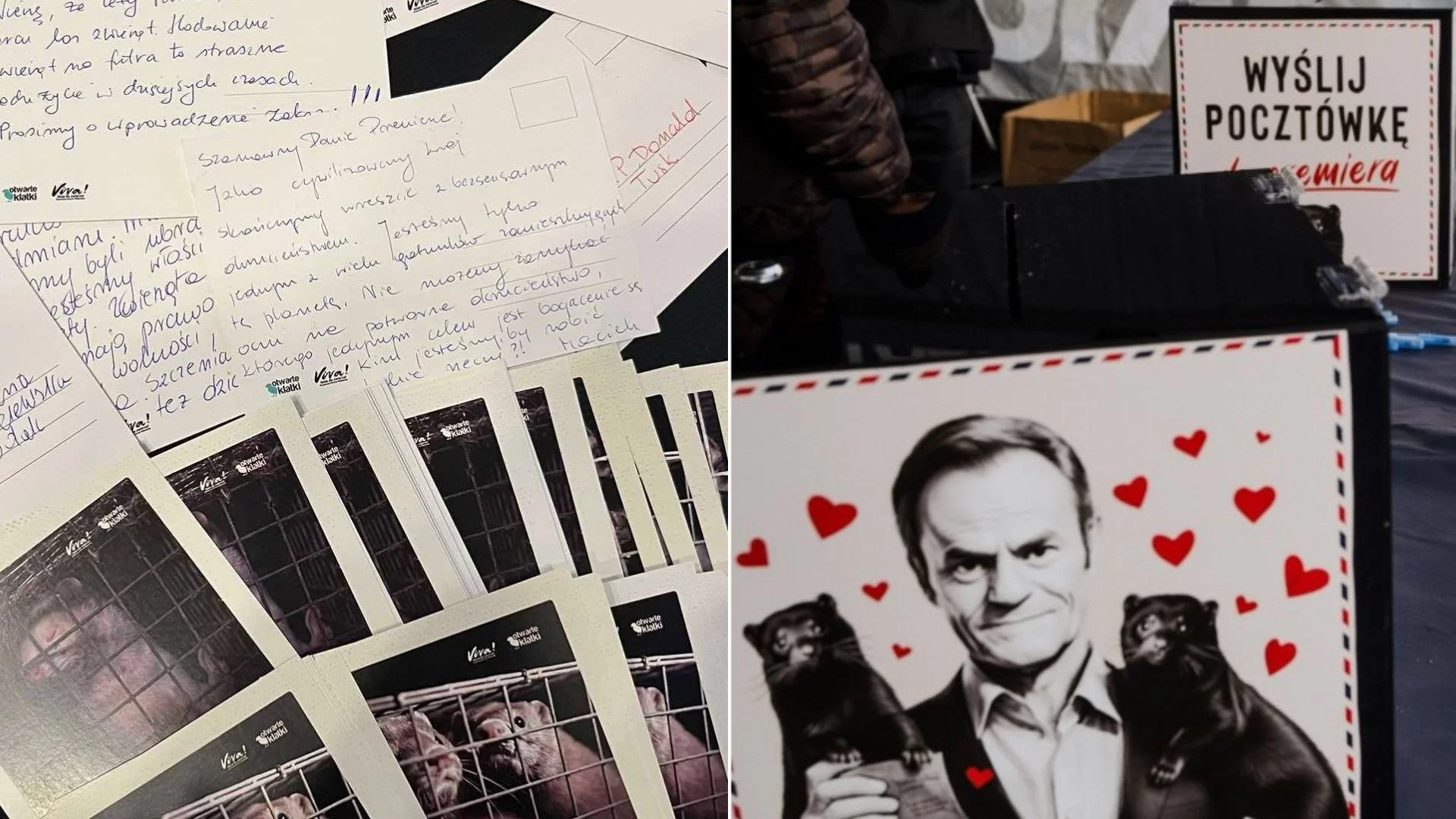 &bdquo;Wyjątkowy prezent&rdquo; dla&nbsp;premiera Donalda Tuska. Napiszą do&nbsp;premiera tysiące poczt&oacute;wek